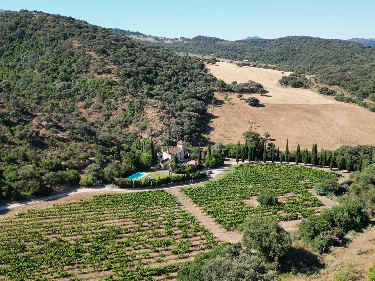 Vista aérea de los árboles, cultivos y montañas alrededor de La Torre