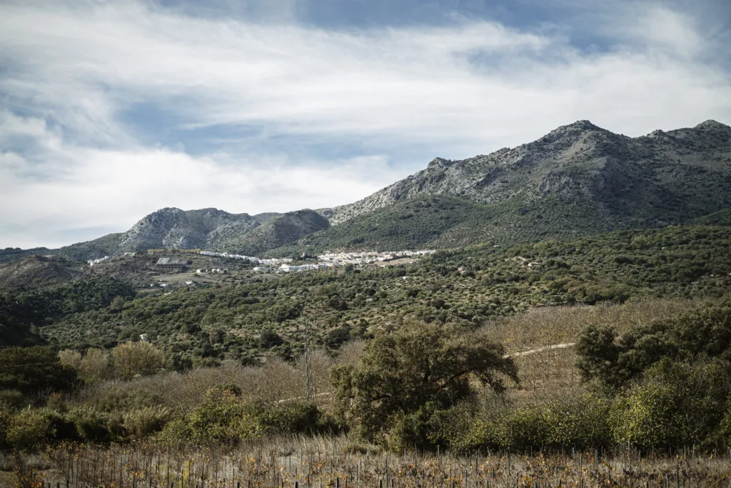 Árboles y campos con las montañas de la Serranía al fondo
