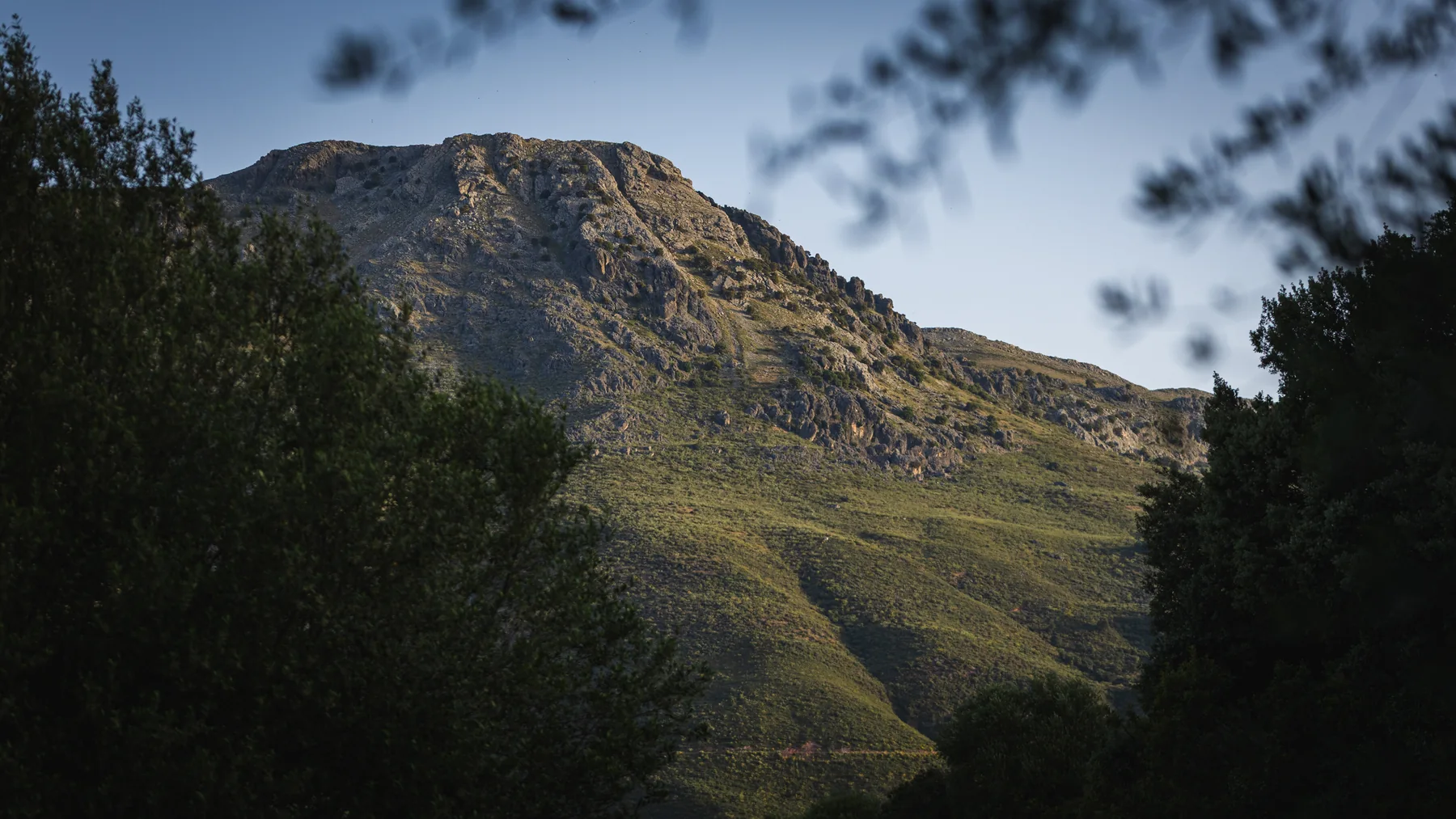 Laderas de la sierra enmarcadas por los árboles de la finca