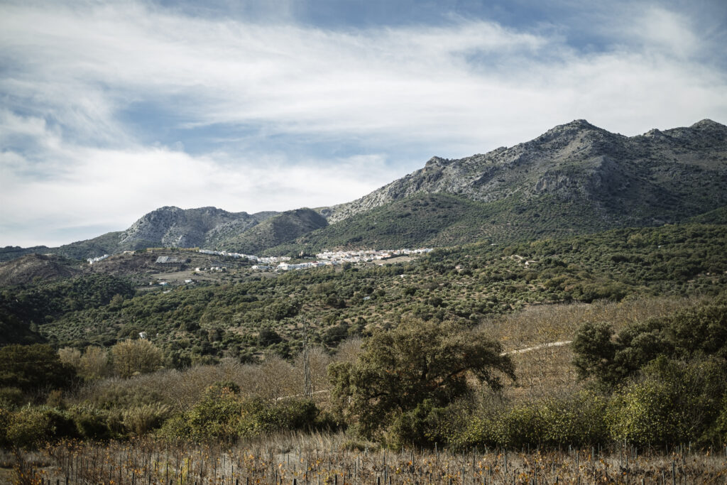 Hacienda Alfacara y su Entorno