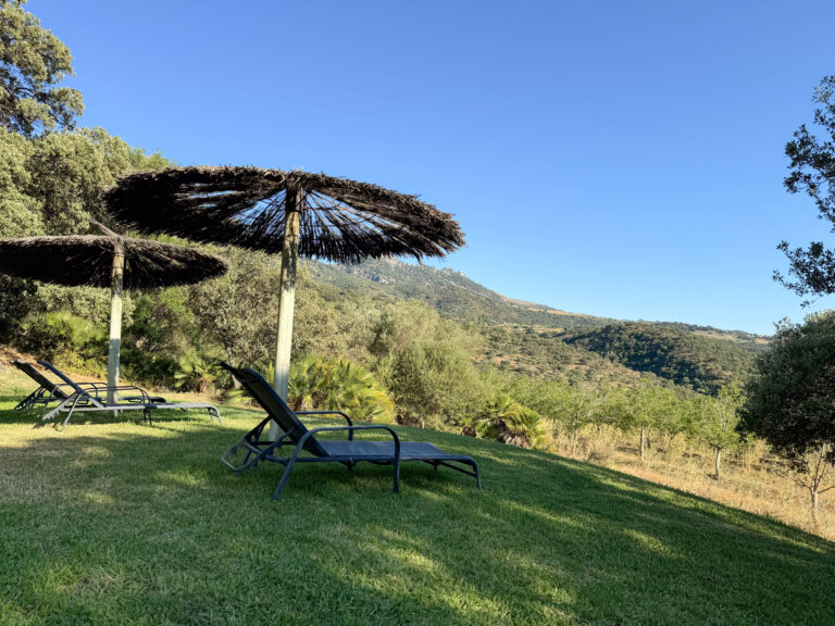 Hacienda Alfacara - Villa Zen - Piscina y Jardín-11