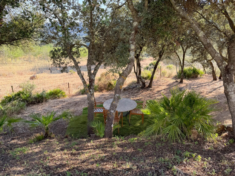 Hacienda Alfacara - Villa Zen - Piscina y Jardín-9